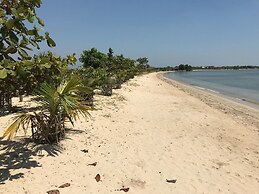 Coconut Lodge