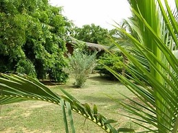 Gite L'anarcadier