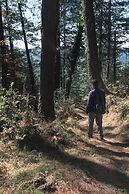 Welcomhotel by ITC Hotels, Shimla