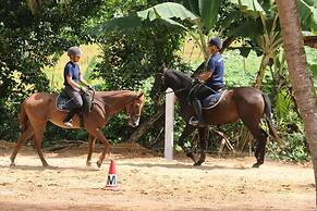 IQuest Colombo