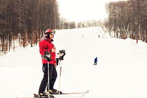 Voevodyno Resort
