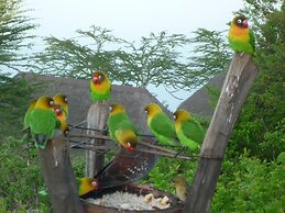 Sunbird Lodge Elementaita