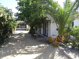 Hostal Vida 2000