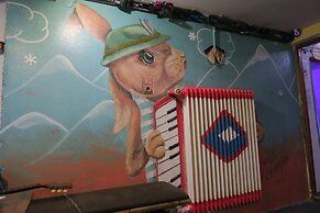 SnowBunnys BackPackers Hostel