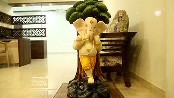 Areca Palms
