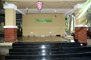 Areca Palms