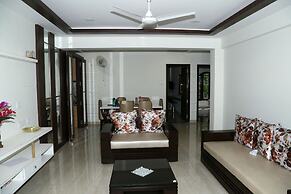 Areca Palms