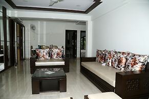 Areca Palms