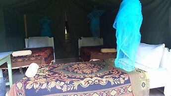 Rhino Camp