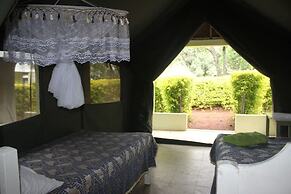 Rhino Camp