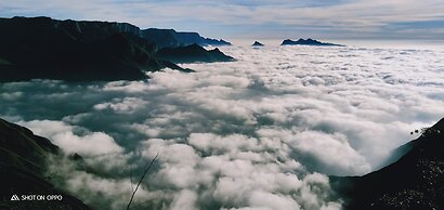 Munnar Jungle Camp