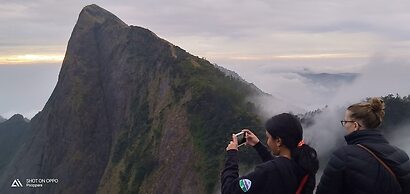 Munnar Jungle Camp