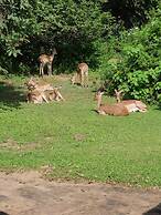 Kruger Park Lodge unit No. 277