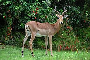 Kruger Park Lodge unit No. 277