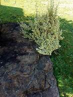 Pension Waldblick