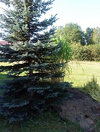 Pension Waldblick