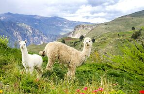 La Granja del Colca
