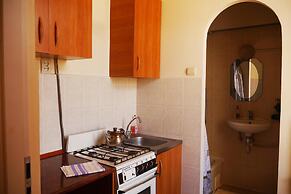 Apartment Svobody 10