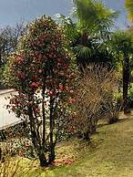 Hotel Loveno