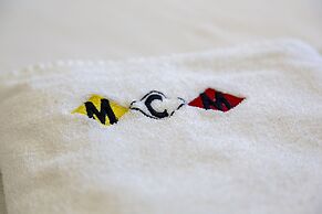 MCM Camping