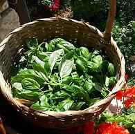 B&B I Campi Di Lino