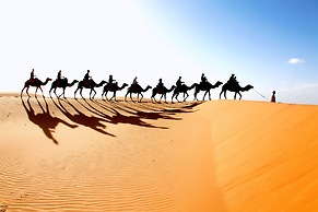 Sahara Royal Camp