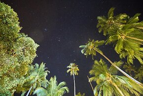 1511 Coconut Grove