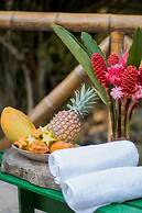 Entre Bosques Tayrona