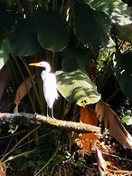 La Palmera Real