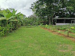 La Palmera Real