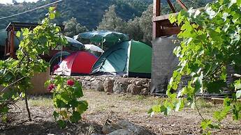 Asiyan Kamp