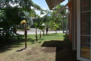 Irie Vibes