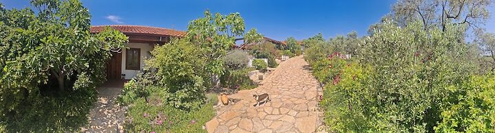 Ionia Guest House