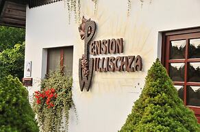 Willischza