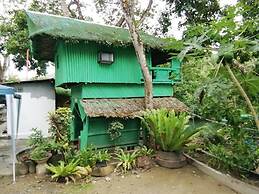 Nature Green Forest Resort