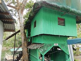Nature Green Forest Resort