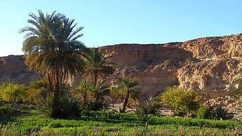 Amoudou Lodge Camp