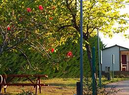 Camping Maceira