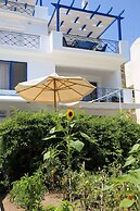 Aliki Studios
