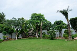 Hotel Palm Galaxy