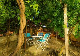 The Lemon Tree Lodge Rustic Village