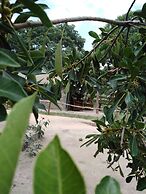 Andova Tented Camp