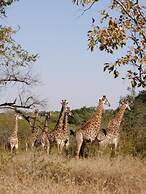 Andova Tented Camp