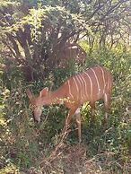 Andova Tented Camp
