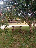 Andova Tented Camp