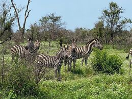 Andova Tented Camp