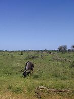 Andova Tented Camp