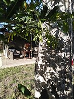 Andova Tented Camp