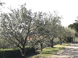Valpolicella Hills