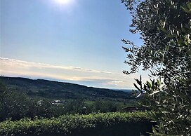 Valpolicella Hills